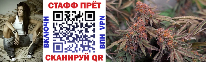 Виды наркоты Олонец А ПВП Меф Каннабис